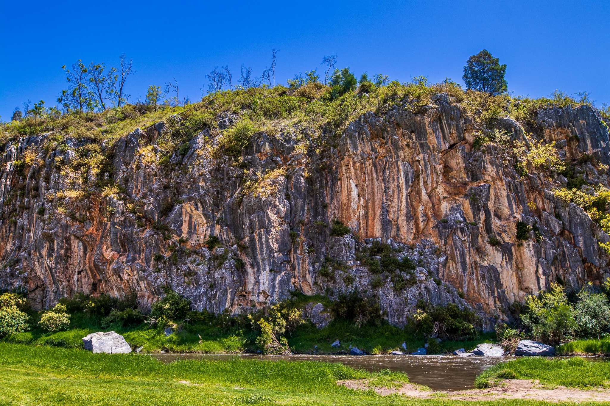 The Bluff Reserve Buchan